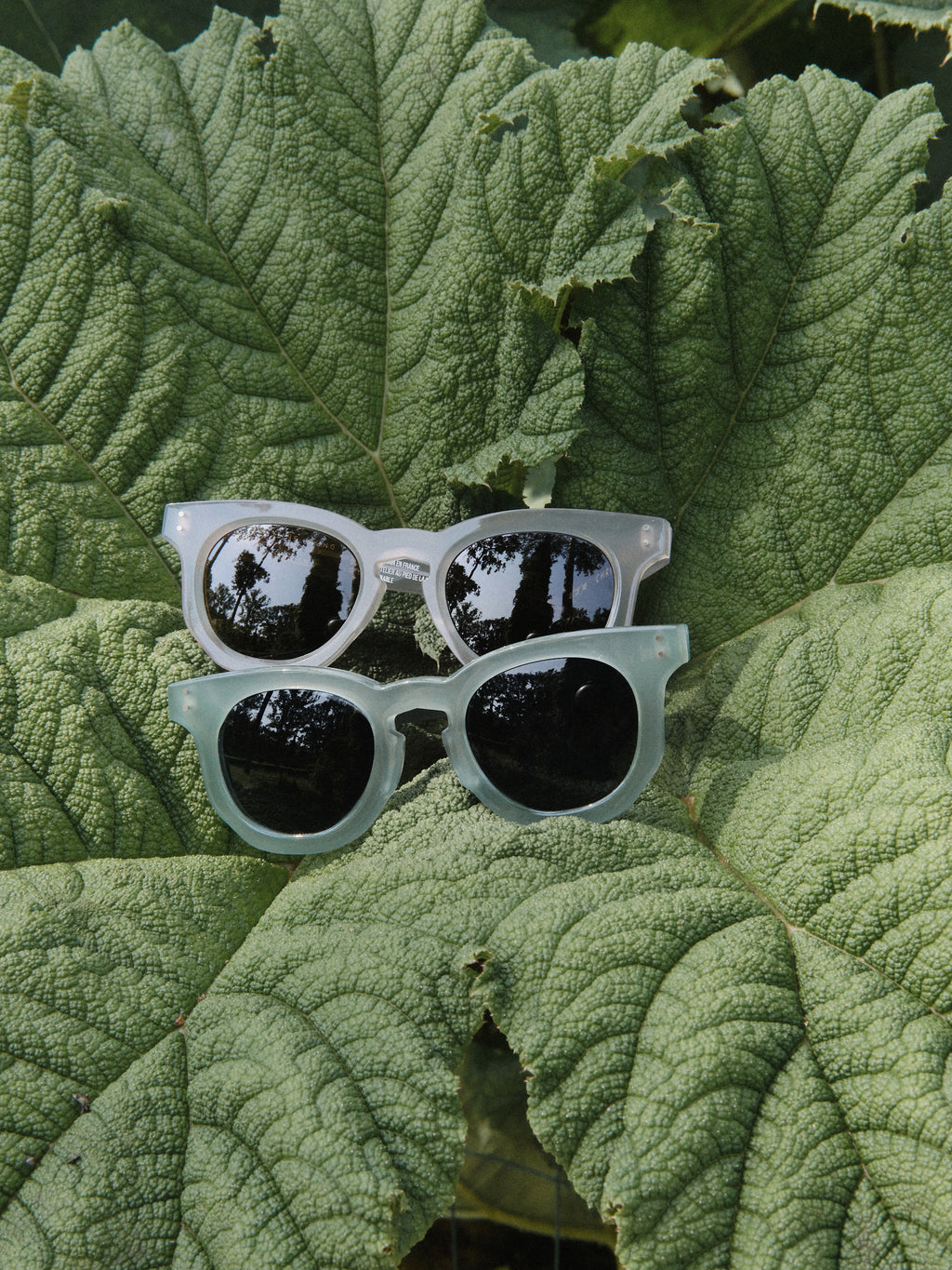 Lunettes de soleil CP x Maison Lassalle