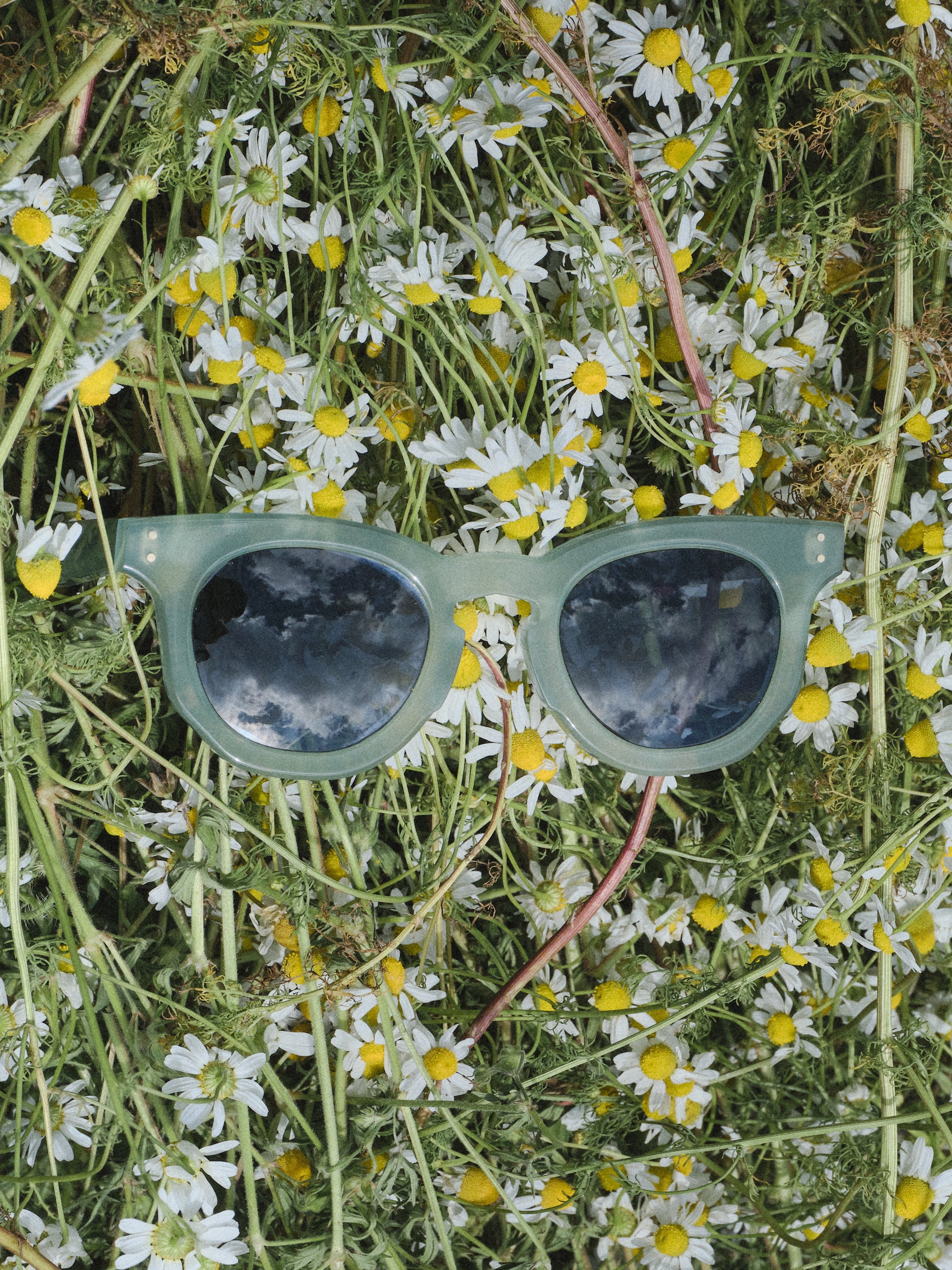 Lunettes de soleil CP x Maison Lassalle