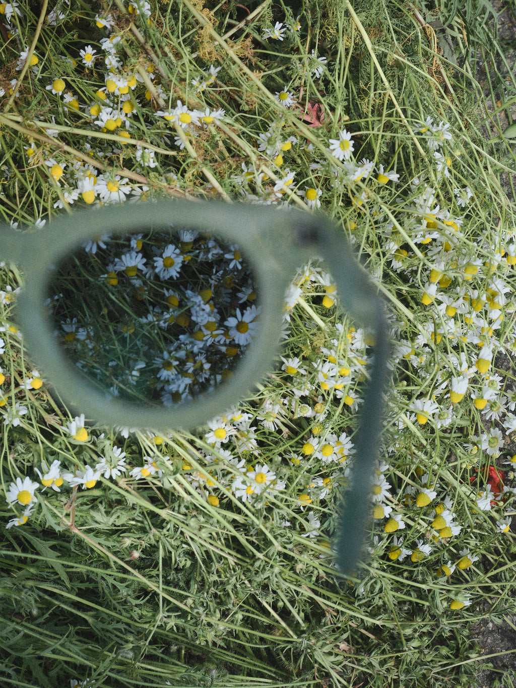 Lunettes de soleil CP x Maison Lassalle